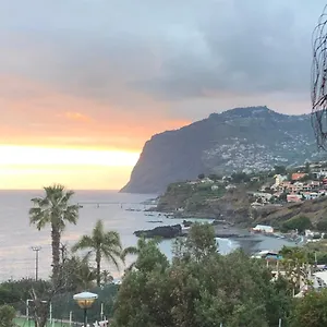 Seashell Caracas Funchal (Madeira)
